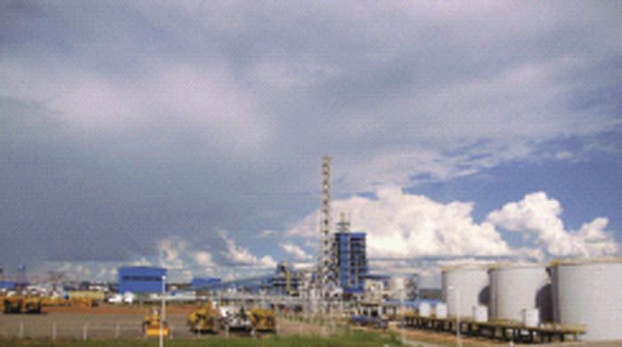 W020241121375657561703