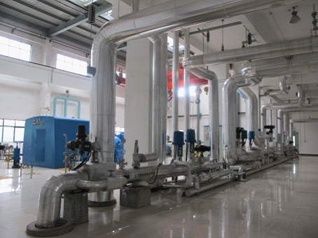 W020241121368848108016