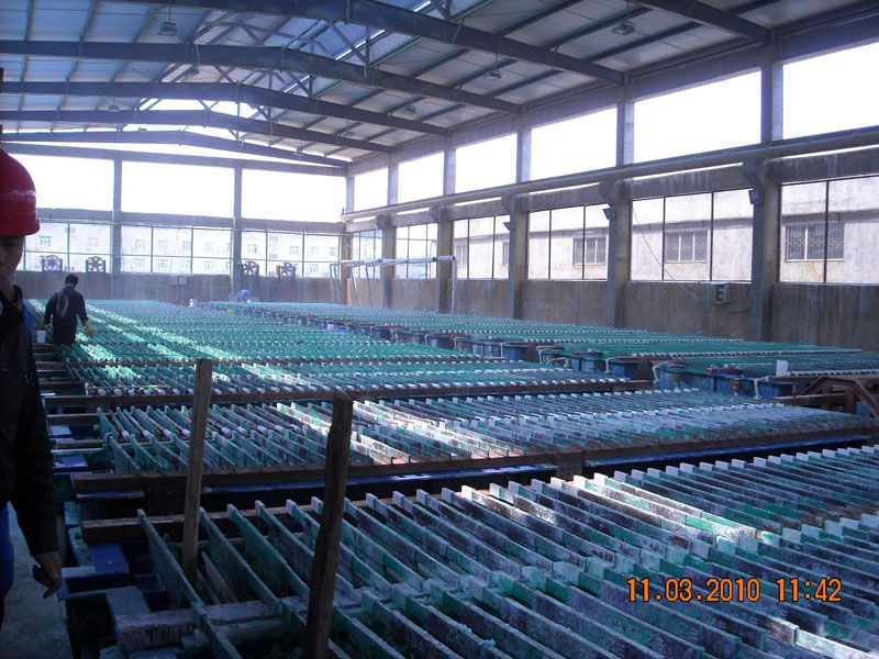 W020241121368835845759