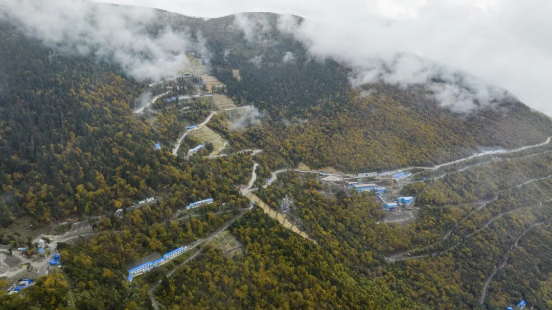 腾博会官网 - 诚信为本,专业服务!