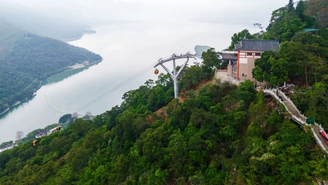 腾博会官网 - 诚信为本,专业服务!