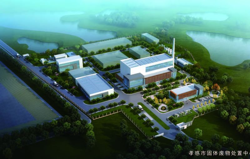 W020241119528654455256