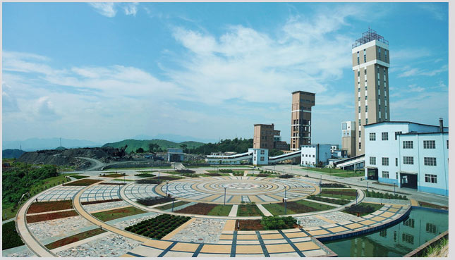 W020241119524342469461