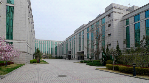 W020241119528354770954